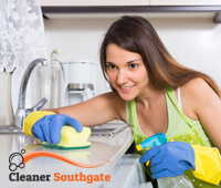 domestic_cleaning2