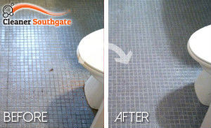 bathroom-cleaning-southgate