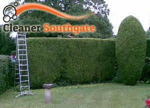 Hedge Maintenance N14