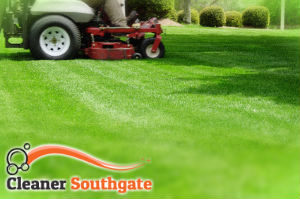 grass-cutting-southgate