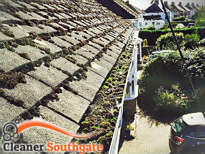 gutter-cleaning-southgate